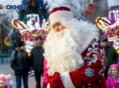 Новогодние спектакли и подарки будут ждать детей ежедневно на новогодних праздниках в Царицынском парке