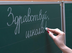 Топ -10 самых высокооплачиваемых директоров школ Волгограда