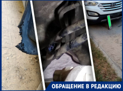 Два новых случая атак бездомных собак в Волгограде: гнались за 10-летним ребенком и изгрызли бензопровод Hyundai