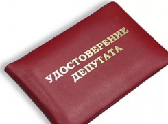 Сразу двух депутатов лишили мандатов в Волгоградской области