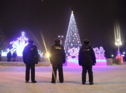 Стало известно, сколько полицейских охраняли Деда Мороза и Снегурочку в Волгограде