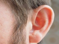 Откусивший нос и ухо другу «Майк Тайсон» из Елани услышал приговор