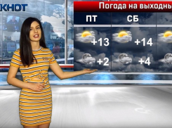 Весна пришла – весне дорогу: на выходных в Волгограде ожидается +14