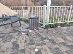 В Волгограде зреет какашечный бунт: собачники выдвинули встречные претензии мэрии