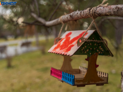 Мороз до -10 градусов и слабый снег: синоптики о погоде в Волгограде