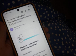 Переболевшая коронавирусом волгоградская семья не может получить QR-коды