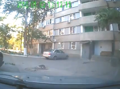 В Волгограде жители многоэтажки выкинули с балкона кошку