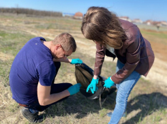 Коллектив ООО «ЕвроХим-ВолгаКалий» поддержал проведение ежегодного Всероссийского субботника