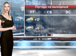 Солнце и дождь: погода в Волгограде на выходные