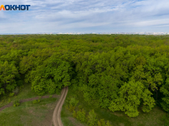 Губернатор признал рост опасных пожаров в Волгоградской области 