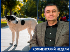 Прольют реки крови: волгоградец не видит шансов мирно разрулить ситуацию с собаками