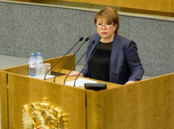 Волгоградский депутат Госдумы Ирина Гусева стала соавтором закона о противодействии мошенничеству в сфере недвижимости