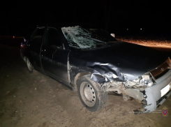 «Двенадцатая» сбила насмерть пешехода в Волгоградской области