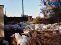 Загадочная фирма травит жителей поселка Гумрак отходами с трупным запахом