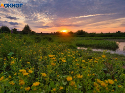 В Волгограде ожидается суббота без адской жары 