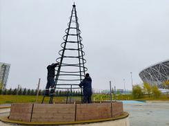 Новогоднюю ель устанавливают в центре Волгограда 