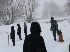  «Они снова и снова уходят на поиски»: больше 150 человек ищет девочку под Камышином