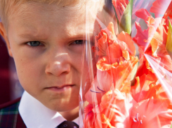 В Волгограде четыре школы признаны лучшими в России