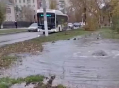 Коммунальный фонтан затопил аллею в Волгограде