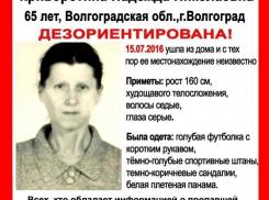 Пропавшую пенсионерку в Волгограде разыскивают велосипедисты и вертолет