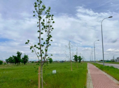 Ко Дню России котельниковцы реализуют новый проект развития города: концепция Парка Героев участвует во Всероссийском конкурсе