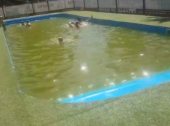 Бассейн цвета травы: волгоградка показала свой отдых на пляже Бобры