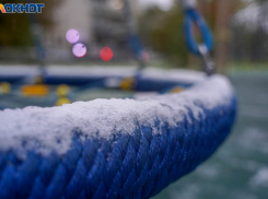 Когда в Волгограде наступит настоящая зима, рассказали синоптики