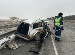 Иномарка влетела в стоящую на обочине фуру под Волгоградом: есть погибший