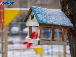 10 декабря в Волгоградской области похолодает до -7 градусов 