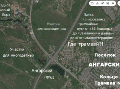 Волгоградец предложил отдать Ангарский под застройку многодетным
