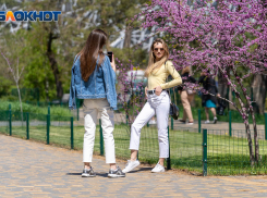 Сильный ветер и жара до +32º: все о погоде в Волгограде на 15 мая