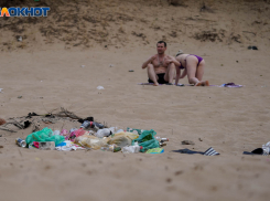 В воде и на песке волгоградских пляжей нашли опасные микроорганизмы