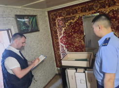 Мать вышла покормить животных: подробности смертельного падения комода на двухлетнюю девочку под Волгоградом 