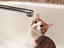 Два района Волгограда останутся сегодня без горячей воды