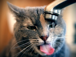 В очередной раз остался без воды север Волгограда