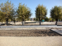 Парк в Советском районе Волгограда предложили назвать именем Андрея Бочарова