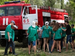 Пожар добрался до поселка Сады Придонья в Волгоградской области