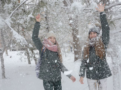 В Волгоград идут 10-градусные морозы и снегопад 