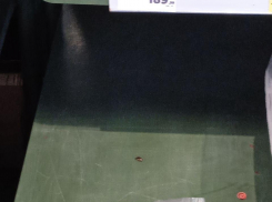 «Кассир сказала, их там много»: сообщение о тараканах проверит «Магнит» в Волгограде