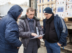 В Волгограде уничтожили более 4 тонн санкционных овощей и фруктов 