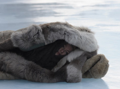 Хотите сходить на фильм «Территория»?