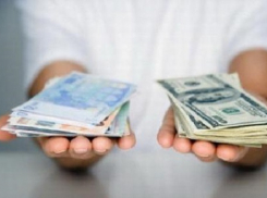 Под Волгоградом бизнесмена оштрафуют за 124 незаконных кредита