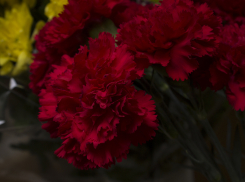 Сегодня Волгоград прощается с бывшим главой администрации Красноармейского района