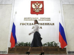 Волгоградские депутаты поддержали введение уголовной ответственности за преклонение перед Западом
