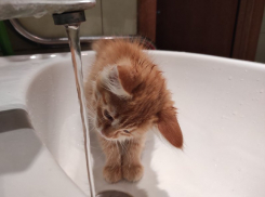 Где отключат воду в сентябре в Волгограде: список домов