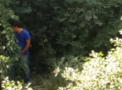 Эксгибициониста сфотографировали за «делом» в Дзержинском районе Волгограда