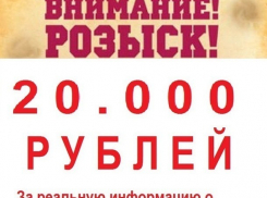 Как на Диком Западе: волгоградец объявил награду за информацию о негодяе