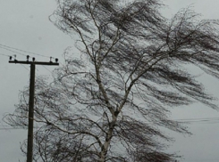 В Волгограде ожидается сильный ветер до 25 м/с