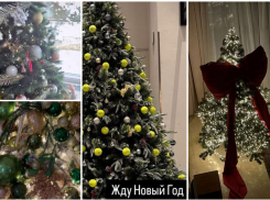 Перья, банты и сосульки: как украсили елки волгоградские звезды и миллиардеры