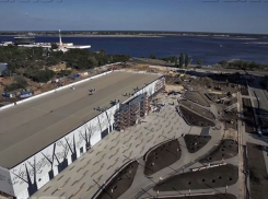 Еще 5 гектаров поймы реки Царица обустроят к концу 2018 года в Волгограде